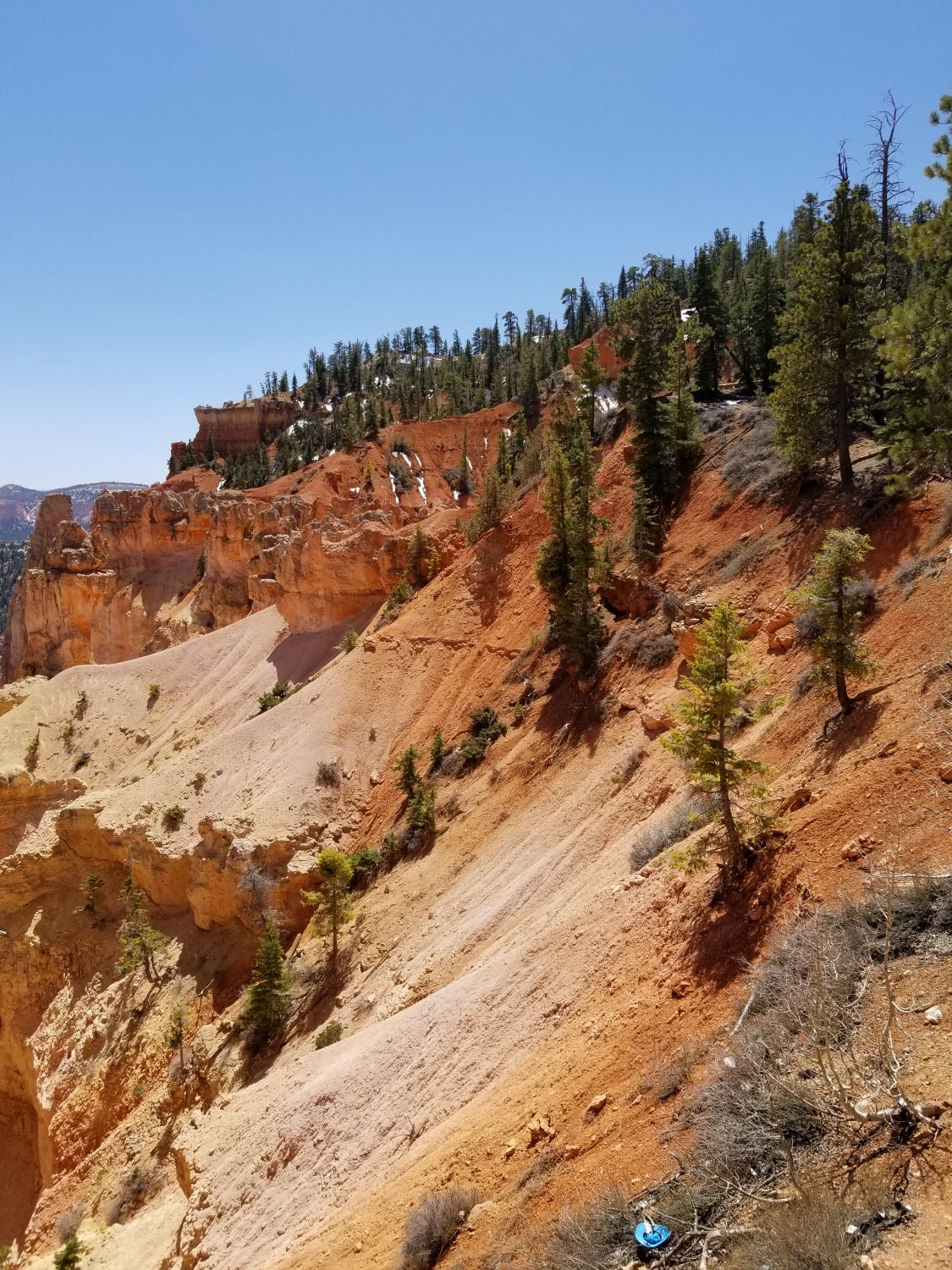 Natural Bridge 